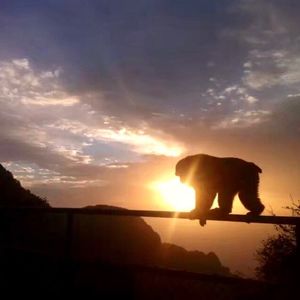 你有多久没有去旅行了？(上)