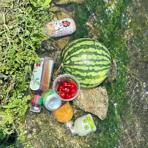 我们的解放日记：Journey Into Your Heart