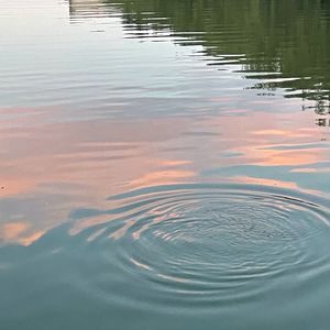 靠回忆撑过这个夏天？