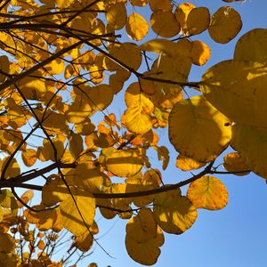 一夜透雨，我秋天了