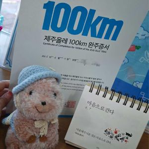 Vol.41 如何准备济州岛偶来小路徒步？这是我走完100公里后的建议