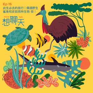15.此生必去的旅行|偶遇野生鲨鱼和史前雨林生物 惊！