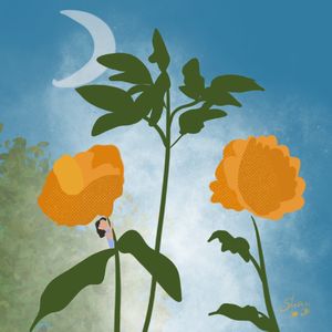 Vol.41 洛阳不止牡丹，还有夜空里的文艺气息