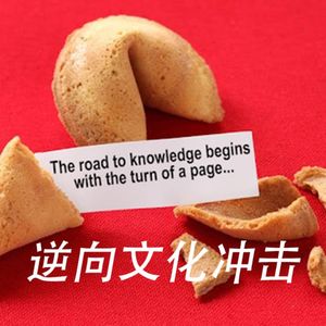 逆向文化冲击:只是有些水土不服