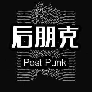 从Joy Division到P.K.14,浅谈后朋克
