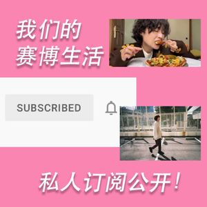 我们的赛博生活：闲聊大家平时爱看什么视频