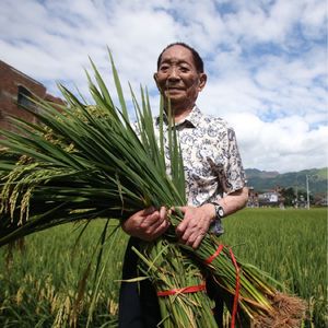 【深夜小卖部】袁花花们会乖乖吃饭，快快长大