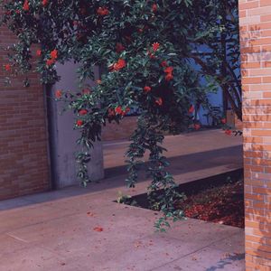 【深夜小卖部】你从不幻想拥有月亮，只要能远远窥见月光就好