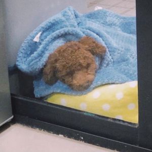 【深夜小卖部】那天，我遇到了可爱的你