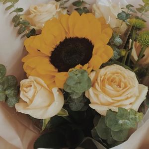 【深夜小卖部】你的爱是彩虹，而我是风