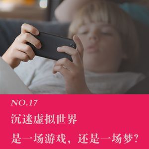 NO.17 沉迷虚拟世界，是一场游戏，还是 一场梦？