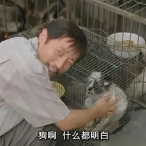 过完五一长假，好像又变丧了-Vol.28