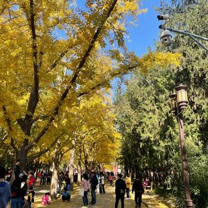 陪你边走边聊,地坛公园「播客导览」-Vol.49