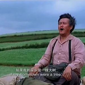 你的春节过得怎么样-Vol.60