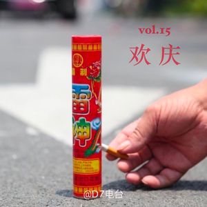 春节三部曲03：欢庆-Vol.15