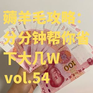 vol.54 薅羊毛史诗级攻略!听完立省大几W!