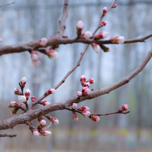 攻略春天有多难