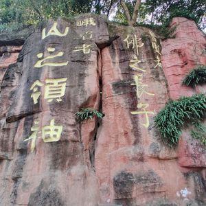 我去川渝上春山