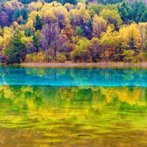 兔子川西行:80分的九寨沟 40分的四姑娘山