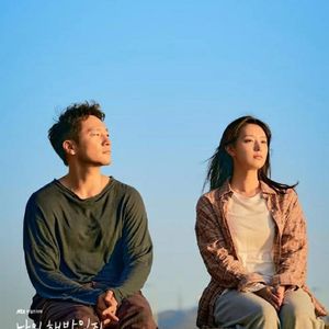 《我的解放日志》 究竟治愈还是致郁