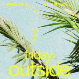 friday: outside