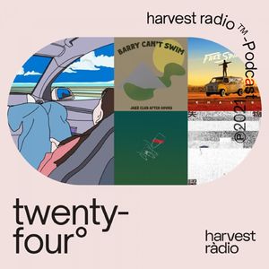 twenty-four