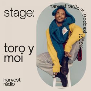 stage: Toro y Moi