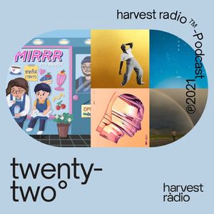 twenty-two