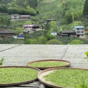 有朋自远方来之招待挑战
