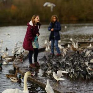 简单生活｜伦敦生活速报、人类学体验、最近的舒压方式