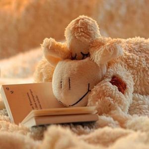 Epi. 42 一直待在同温层和舒适圈里是可耻的吗？