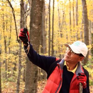 弃医从农“闯关东”：我在美国黑土地收获人参