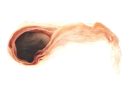 Ep15 生育应该是一场温柔的生命旅程