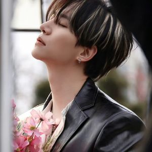 213. [台风商社] 你好像波斯菊啊