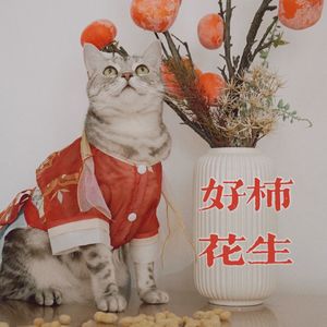 88 90后的春节记忆 | 第一季重播