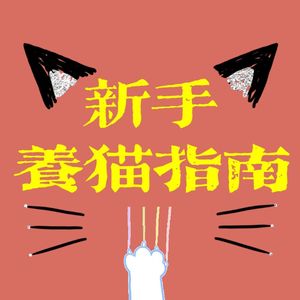 06 新手养猫指南 | 铲屎官经验大放送：这些年的斗智斗勇