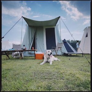 41.露营避坑指南 花最少的钱把氛围感拉满