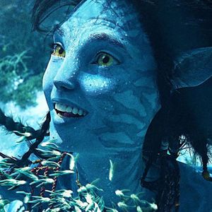 后疫情时代的生命体验：展开聊聊作家西西《候鸟》与电影《阿凡达：水之道》