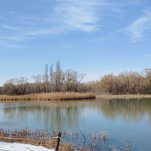 遭受父权和军权双重压迫的王子！解读三岛由纪夫《春雪》第七集