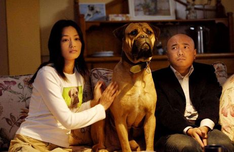 钢铁直男的悲惨相亲史