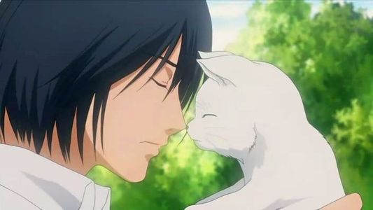 聊聊我为什么喜欢日本文化