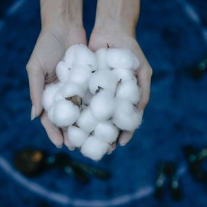 从种植到生产，棉花支撑起的消费社会