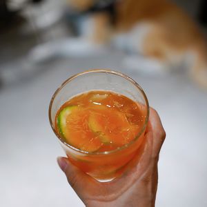 谁说夏天食欲不振？来聊一聊就开胃啦！ | 粒粒皆辛苦#6