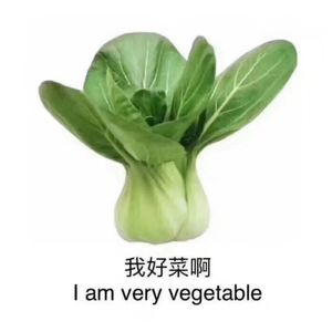 E12. 想和悲伤一笔勾销？