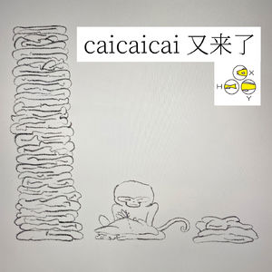 19. caicaicai 又来了