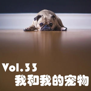 Vol.33 我和我的宠物
