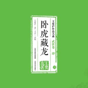 《卧虎藏龙》：剑胆琴心，侠骨柔肠