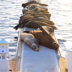 05：在豪华游轮工作是种怎样的体验？