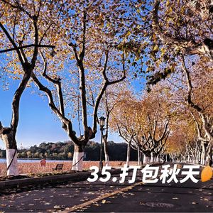 35.打包秋天
