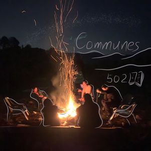 给你讲讲什么是“共识社区”？